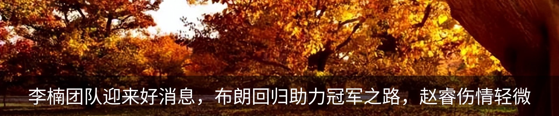 行业资讯